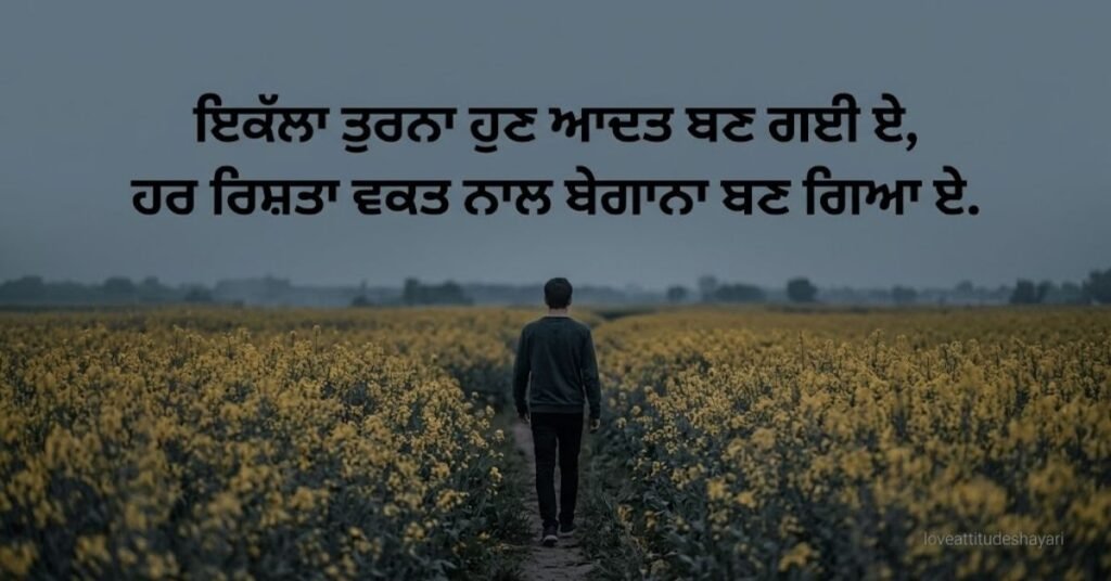 Alone sad shayari punjabi